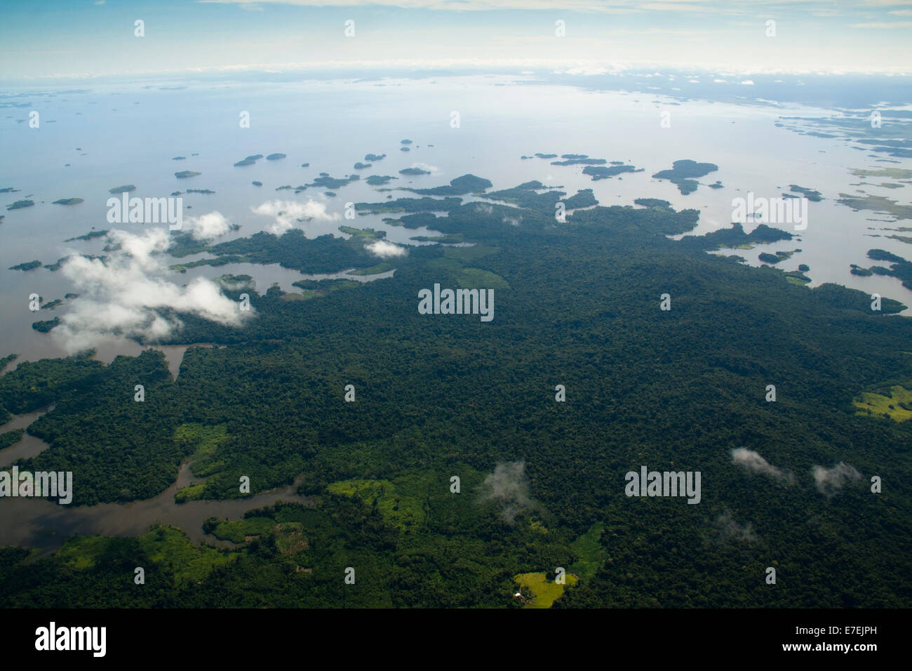 Amazon river delta -Fotos und -Bildmaterial in hoher Auflösung – Alamy