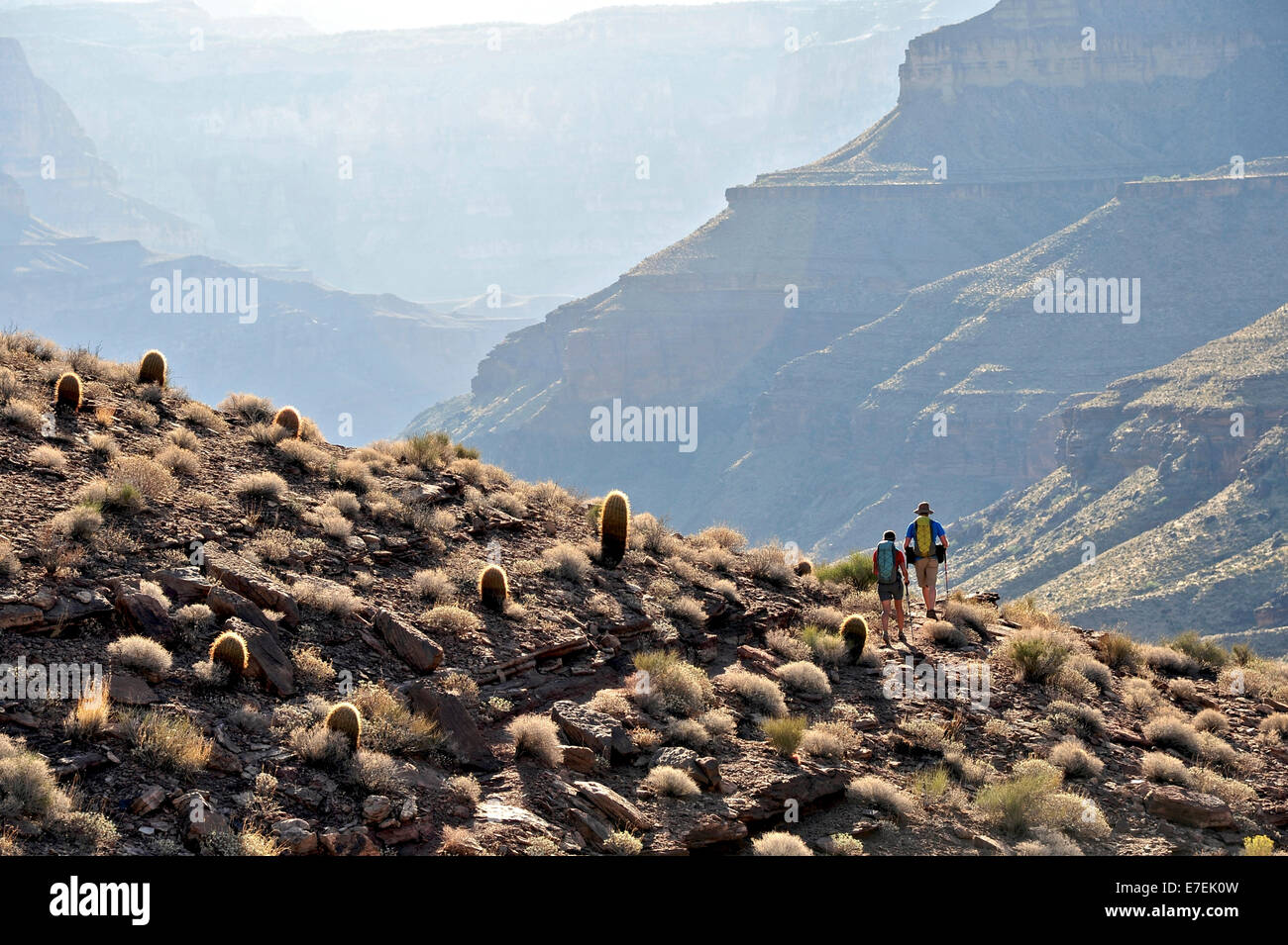 Wanderer folgen eine Route entlang des Colorado River, die Tapeats Creek und Thunder River mit Deer Creek in den Grand Canyon außerhalb Fredonia, Arizona November 2011 verbinden.  Die 21,4-Meile Schleife beginnt bei der Bill Hall Trailhead am North Rim und senkt sich 2000-Füße in 2,5 Meilen durch Coconino Sandstein in der Ebene Esplanada dann steigt weiter in die unteren Schlucht durch einen Bruch in der 400-Fuß-hohe Redwall auf Surprise Valley zuzugreifen.  Wanderer Thunder River und Tapeats Creek zu einer Route entlang dem Kolorado Fluß zu verbinden und Klettern, Deer Creek. Stockfoto