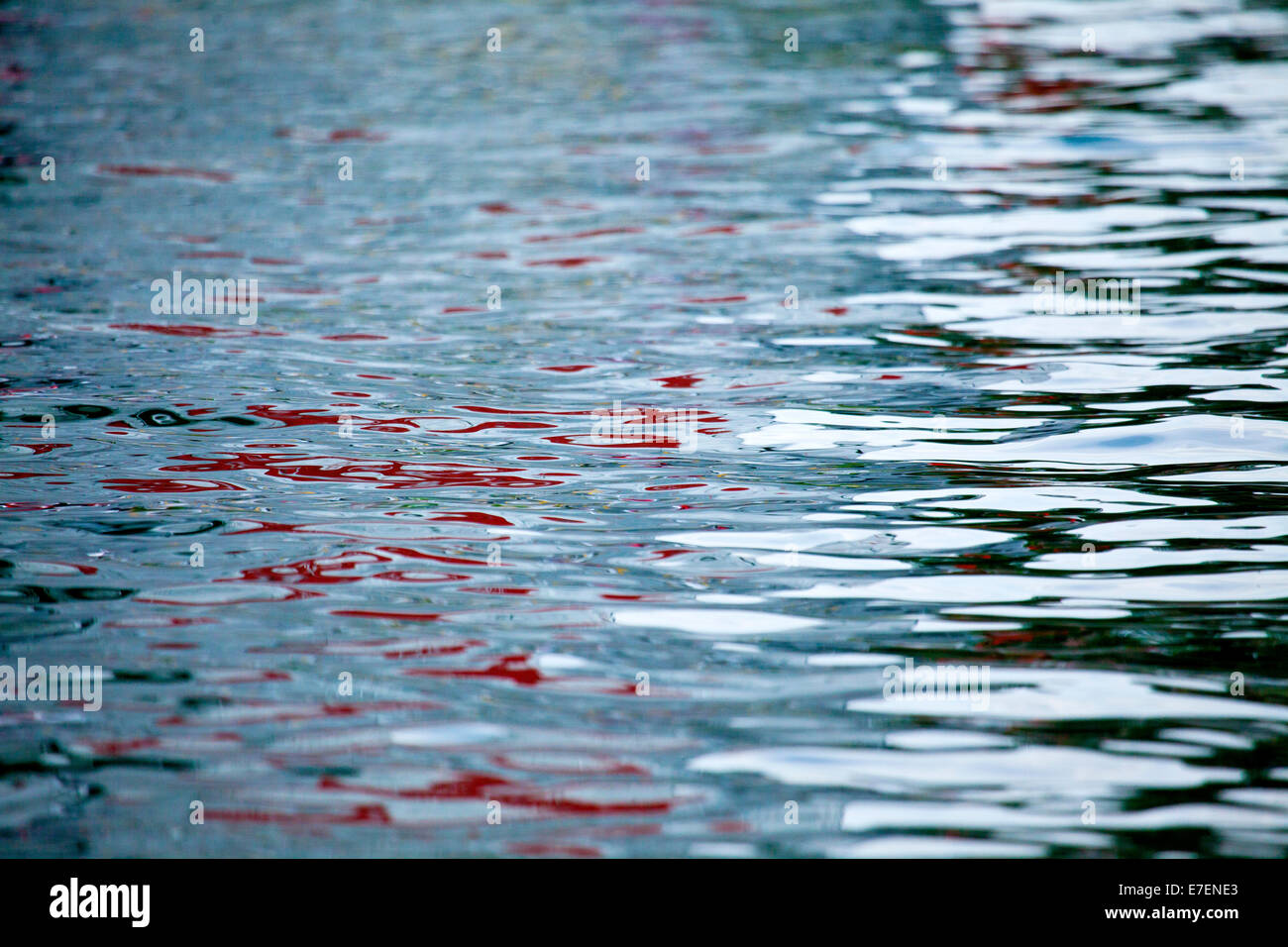 Lake Traunsee, Gmunden, Österreich. Stockfoto