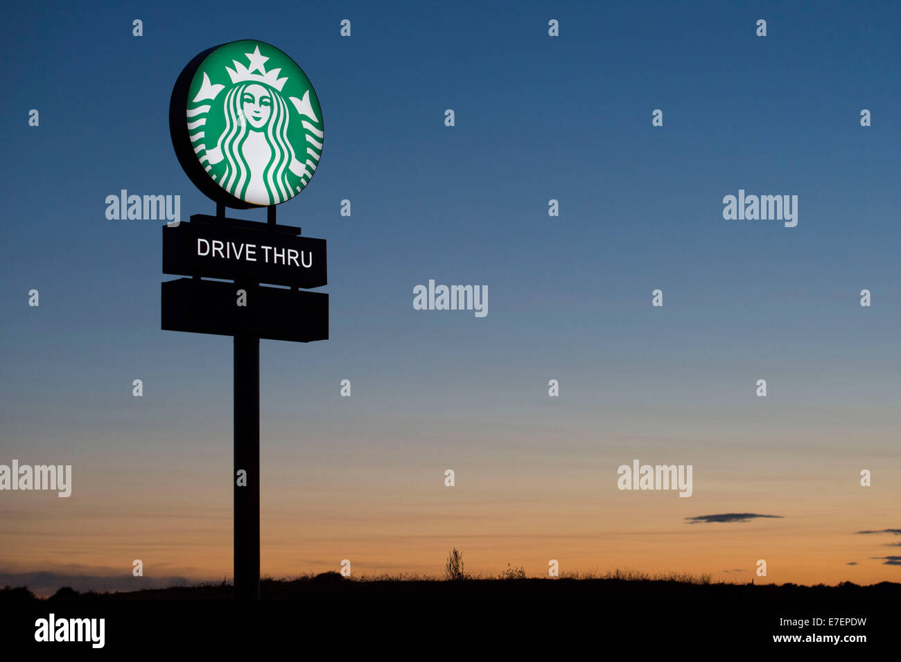 (Foto von Matthew Horwood) Stockfoto