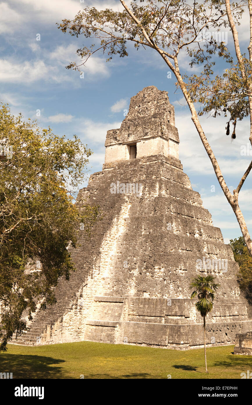 Maya-Ruinen in Tikal, Guatemala Stockfoto