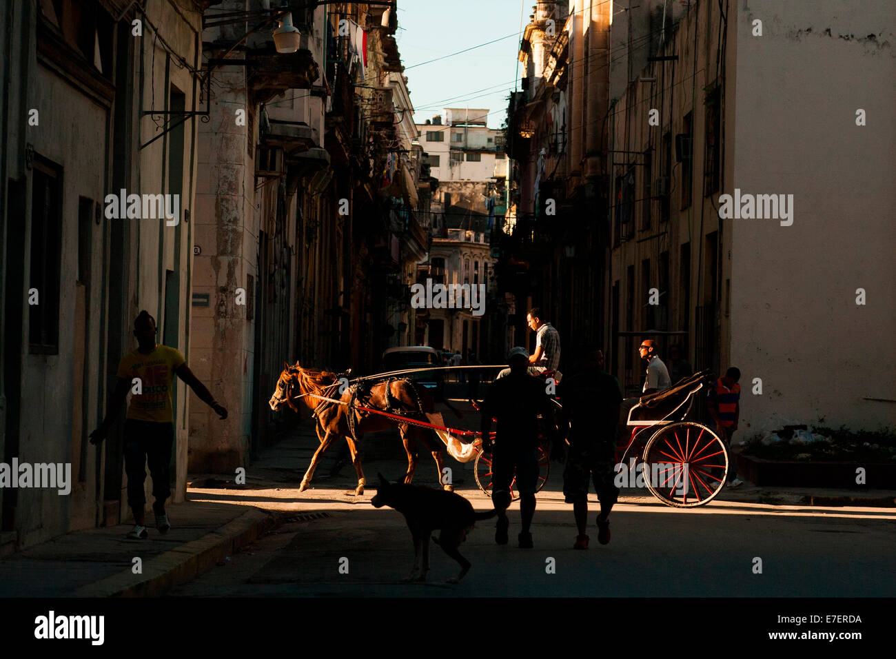 Eine Pferdekutsche in Havanna, Kuba trägt seinen Passagier in einer Seitenstraße in einen Lichtstrahl, der späten Nachmittagssonne. Der Wagen war über Habana Vieja oder den alten Teil der Stadt unterwegs. Stockfoto