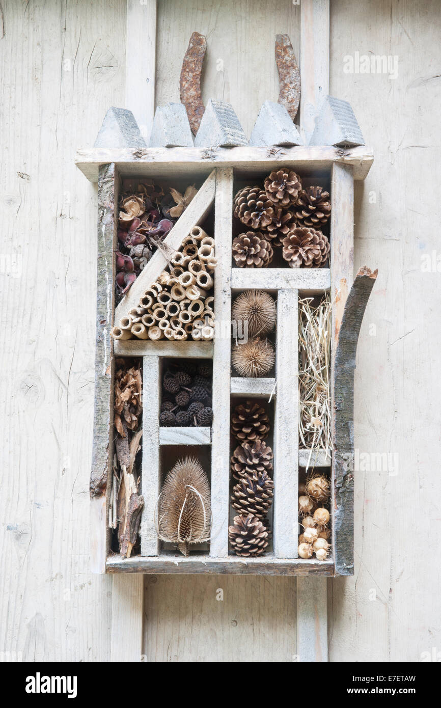 Garten - Igel - Blick auf Garten Schuppen mit Fehler Insektenhotel an Wand - Designer - Tracy Foster - Trägern Stockfoto