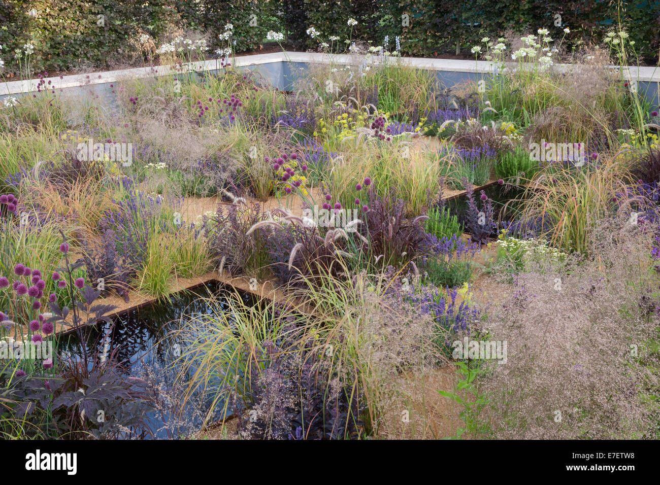 Englisch modernen Kiesgarten mit Wasser Funktion Pool Pflanzung von Ziergras Gräser Alliums Pflanzen wachsen Blumenbeete Garten Grenze Sommer UK Stockfoto
