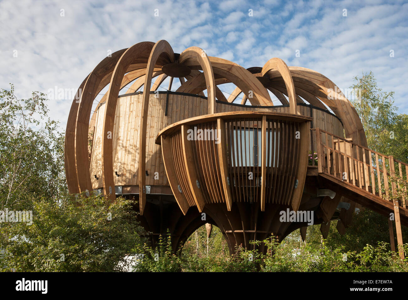 Ein Holz aus Holz nachhaltig modernes Gartenbüro, das von zu Hause aus in einem Waldgarten für Wildtiere arbeitet. Großbritannien - Stockfoto