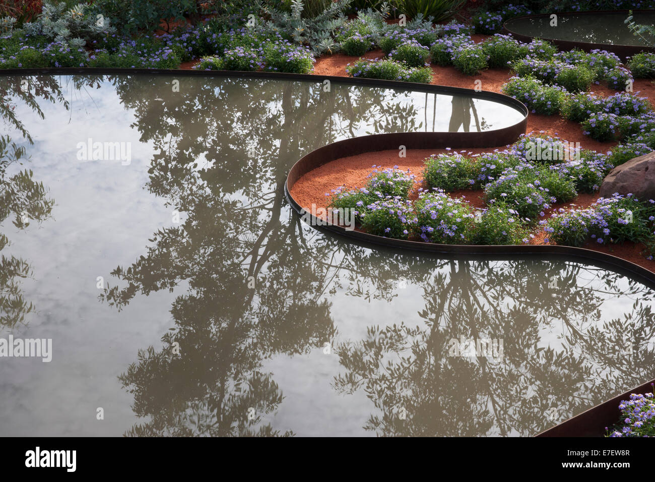 Blick auf den Garten - Essenz von Australien - Gartenteich Pool umgeben von Brachyscome blau - Designer - Jim Stockfoto