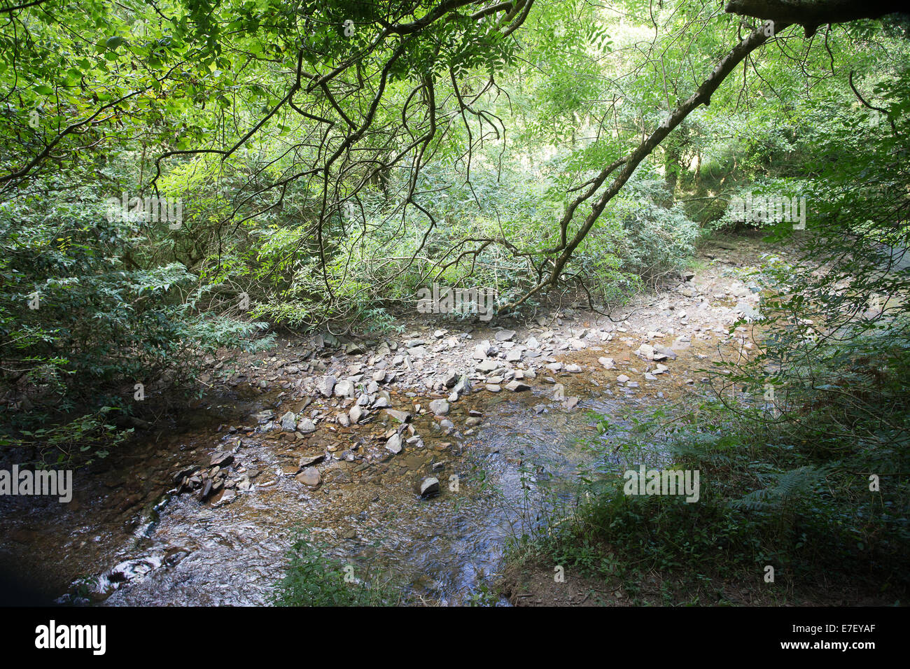 Heddon Flusstal Exmoor Devon Stockfoto