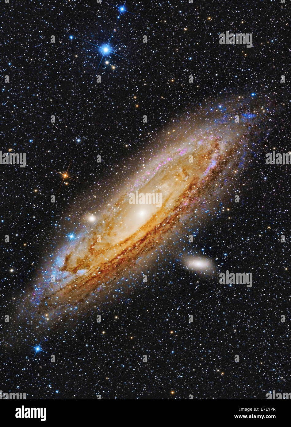 Messier 31, die Andromeda-Galaxie. Stockfoto