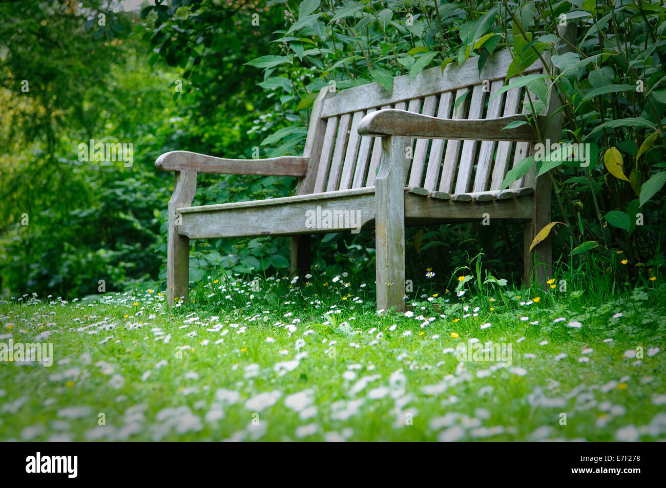 Sitzbank aus Holz Garten, englischer Garten, Devon, UK. Stockfoto