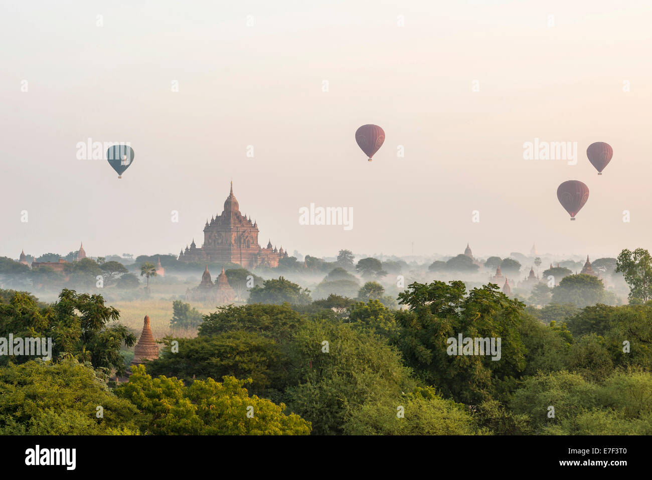 Heißluftballons über die Landschaft im Morgennebel, Tempel, Stupas, Pagoden, Tempelkomplex, Plateau von Bagan Stockfoto