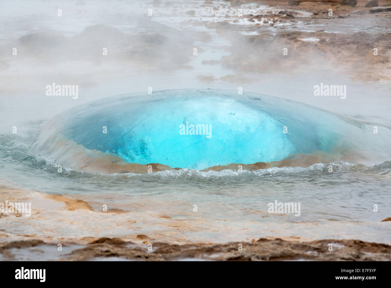 Strokkur Geysir Blase bereit zu Blasen, Island im Juni Stockfoto