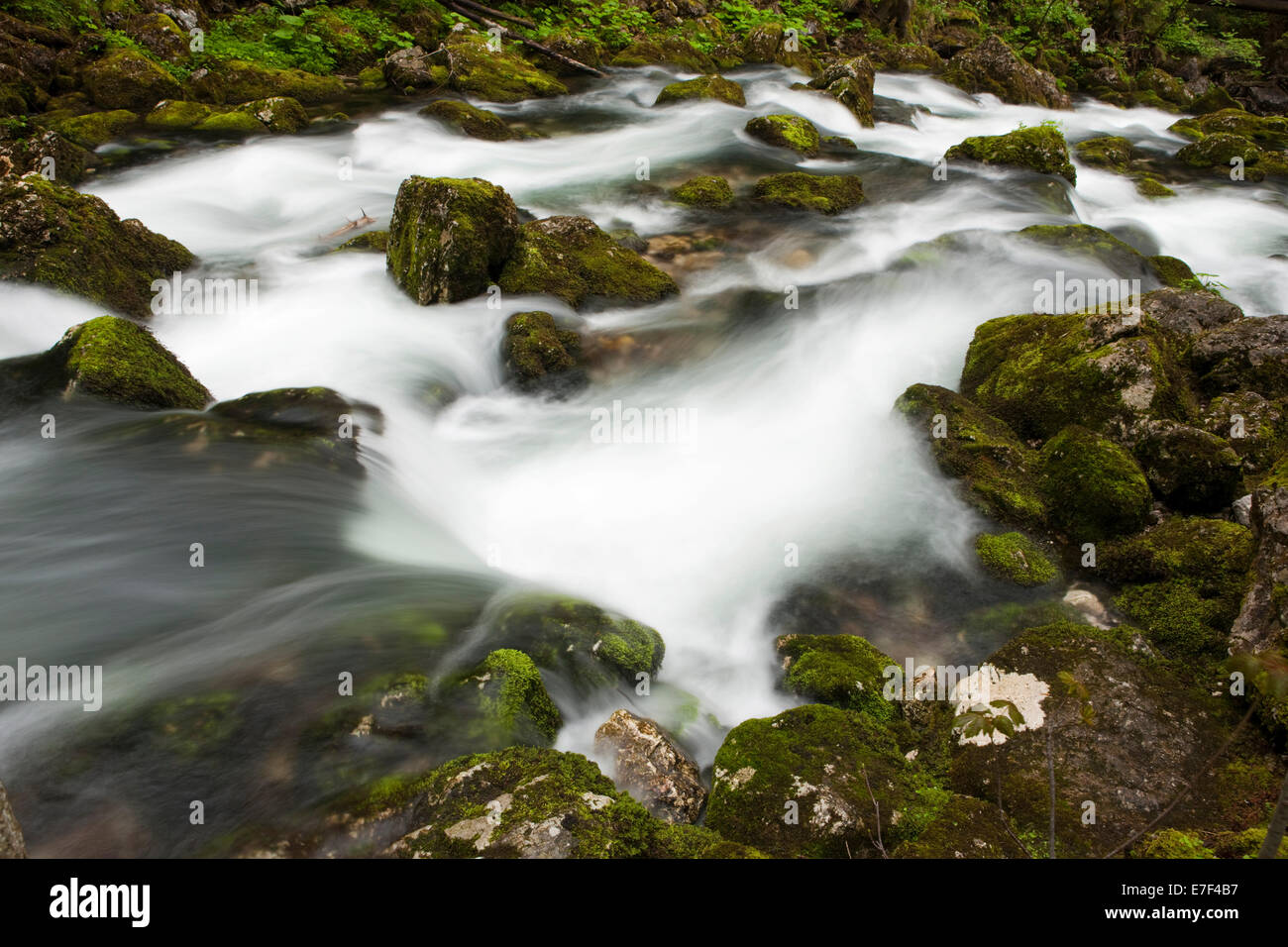 Bach mit moosbewachsenen Steinen, Gollinger Wasserfall, Salzburg, AustriaSteinen, Stockfoto
