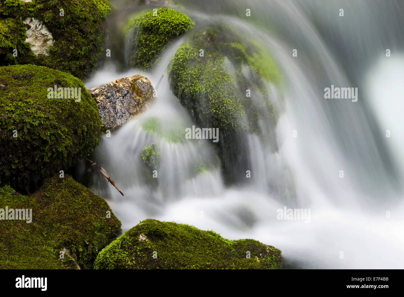 Bach mit moosbewachsenen Steinen, Gollinger Wasserfall, Salzburg, AustriaSteinen, Stockfoto