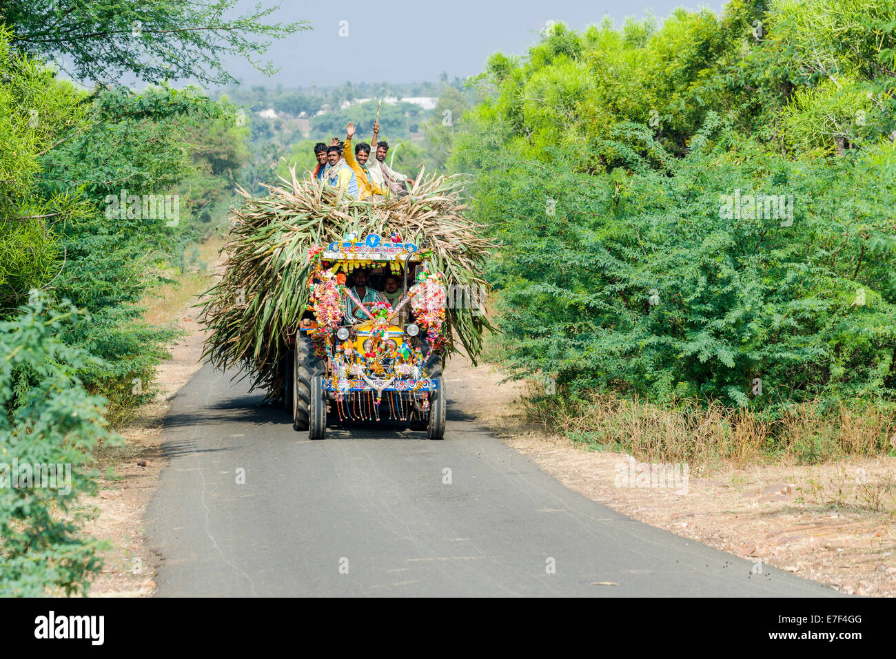 Ein Traktor ist Zuckerrohr, einige Bauern sitzen an der Spitze, winken, Aihole, Karnataka, Indien den Transport Stockfoto