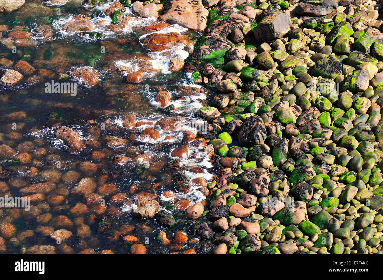 Stein-Strand von Stoer Head, Sutherland, Highlands, Schottland, Vereinigtes Königreich Stockfoto