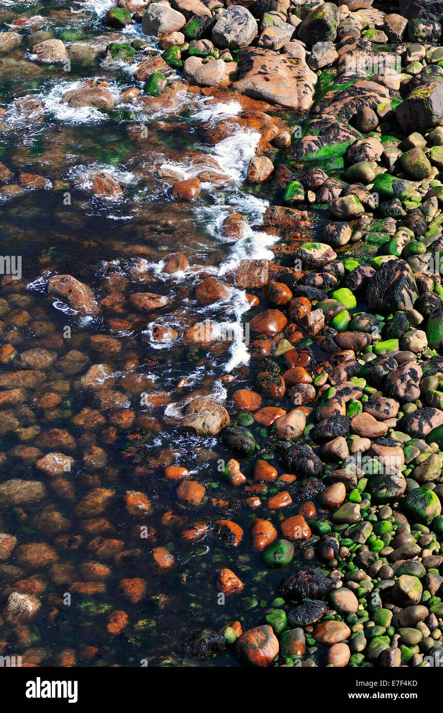 Stein-Strand von Stoer Head, Sutherland, Highlands, Schottland, Vereinigtes Königreich Stockfoto