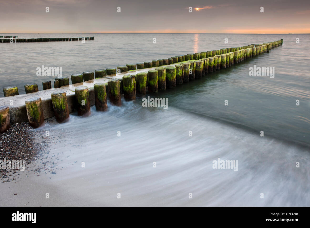 Buhnen an der Ostseeküste bei Sonnenuntergang, Mecklenburg-Vorpommern, Zingst, Fischland-Darß-Zingst, Deutschland Stockfoto