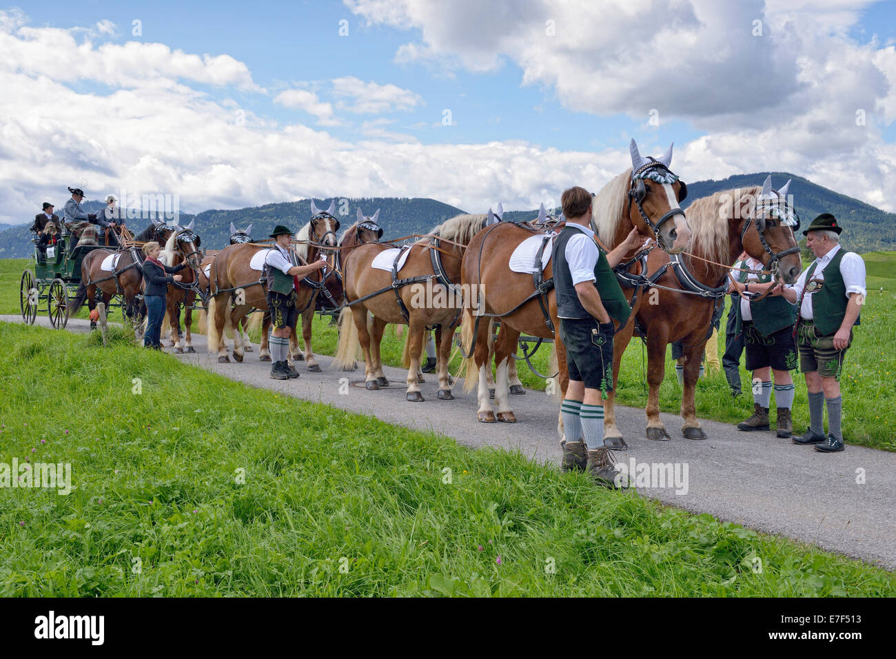 Zehn-Pferdekutsche mit kaltblütige Pferde aus dem Leitzachtal Valley, erste internationale zehn-Pferdekutsche treffen, Hundham Stockfoto