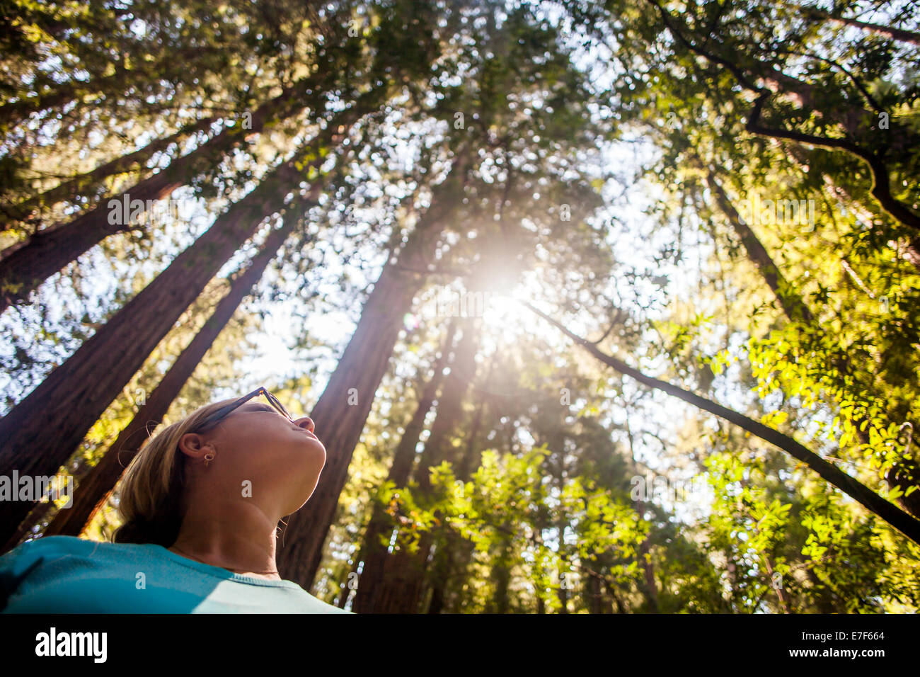 Kaukasische Frau im sonnigen Wald Stockfoto