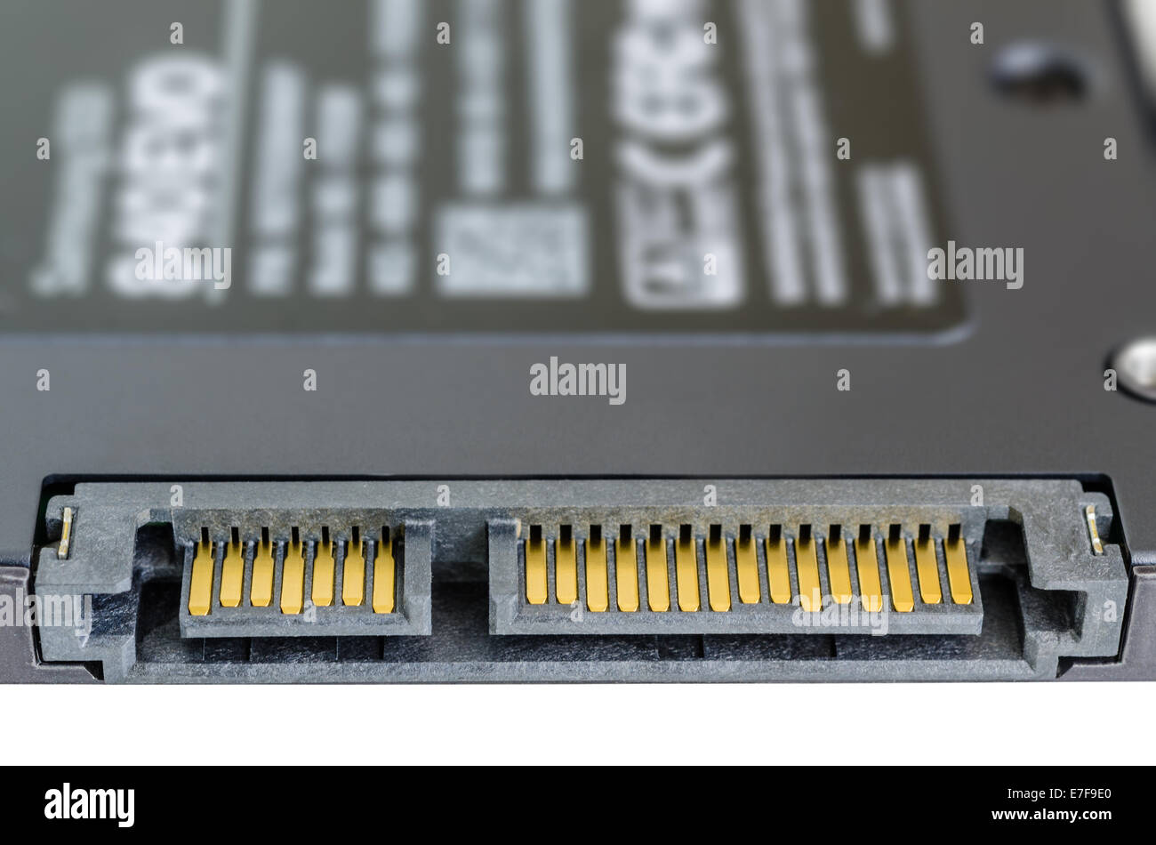 Gäbe solid-State Drive SSD SATA Anschluss isoliert auf weißem Hintergrund Stockfoto