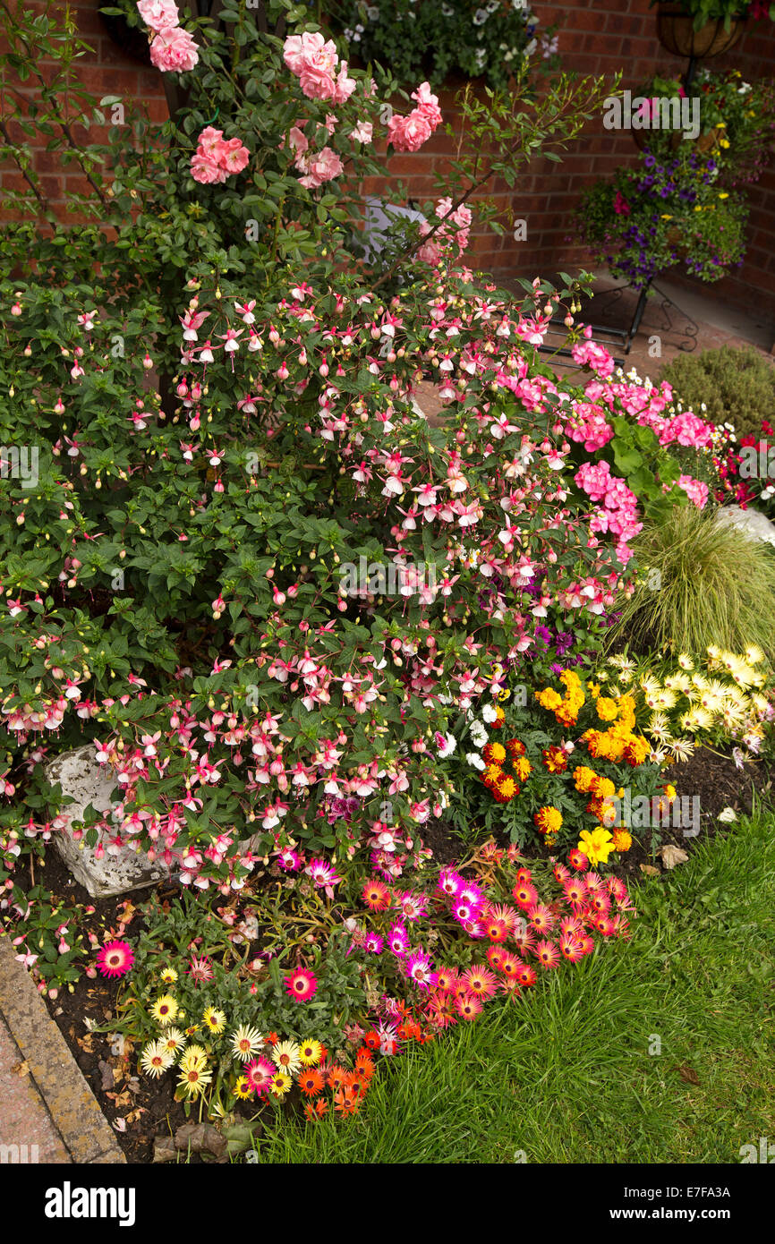 Frühling-Anzeige von bunten niedrig wachsenden jährlichen Blumen im Bad Garten, Bakewell, England Stockfoto