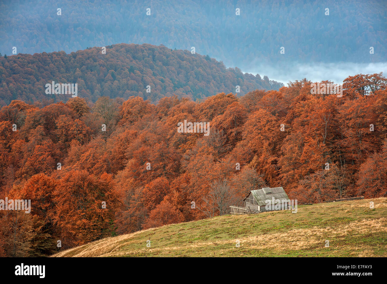 allein Haus im Herbst Berg Stockfoto