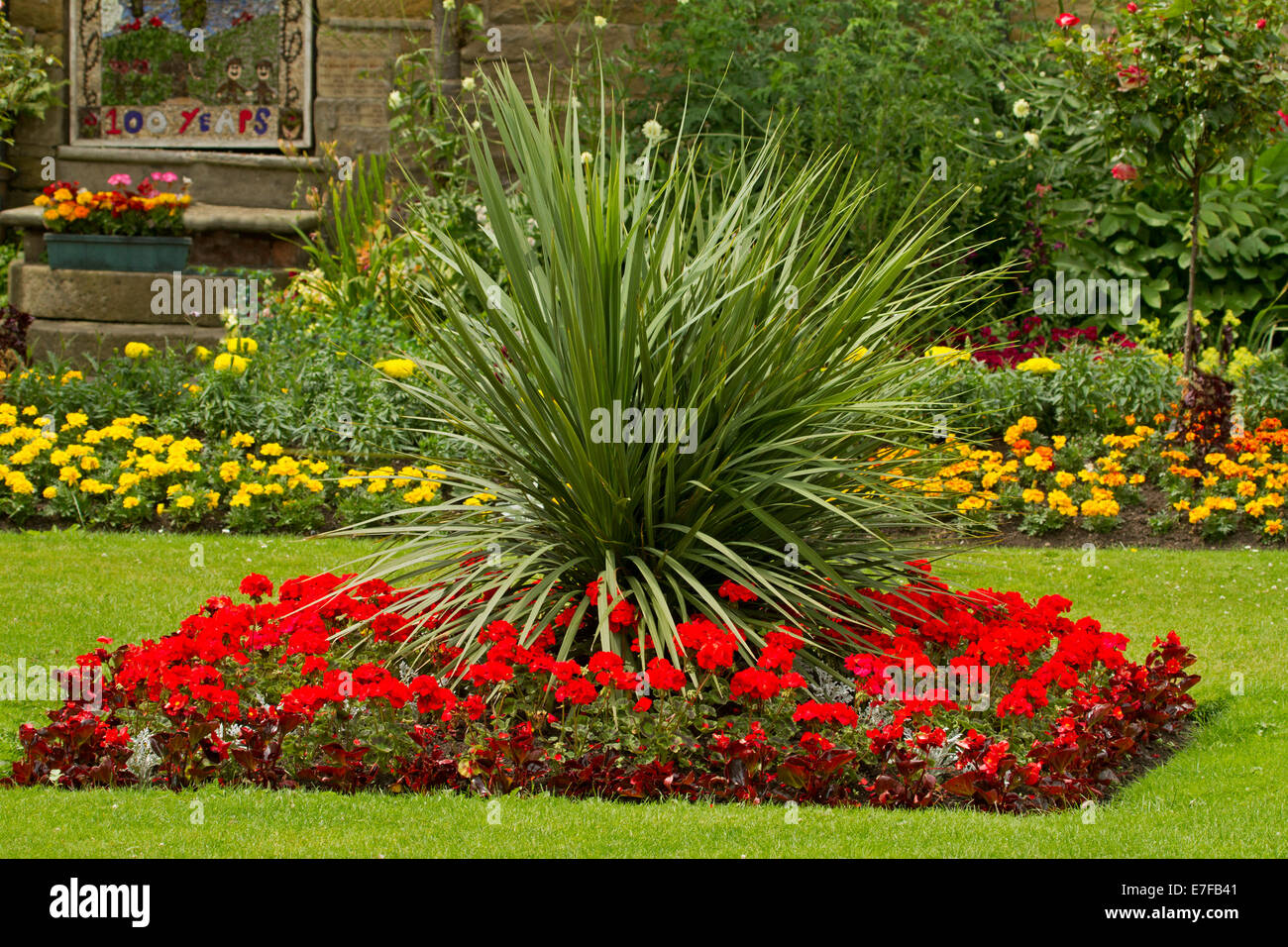 Bunter Frühling Anzeige der leuchtend roten und gelben Blüten von einjährigen Pflanzen in rechteckige Beete in Bad Gärten, Bakewell, England Stockfoto