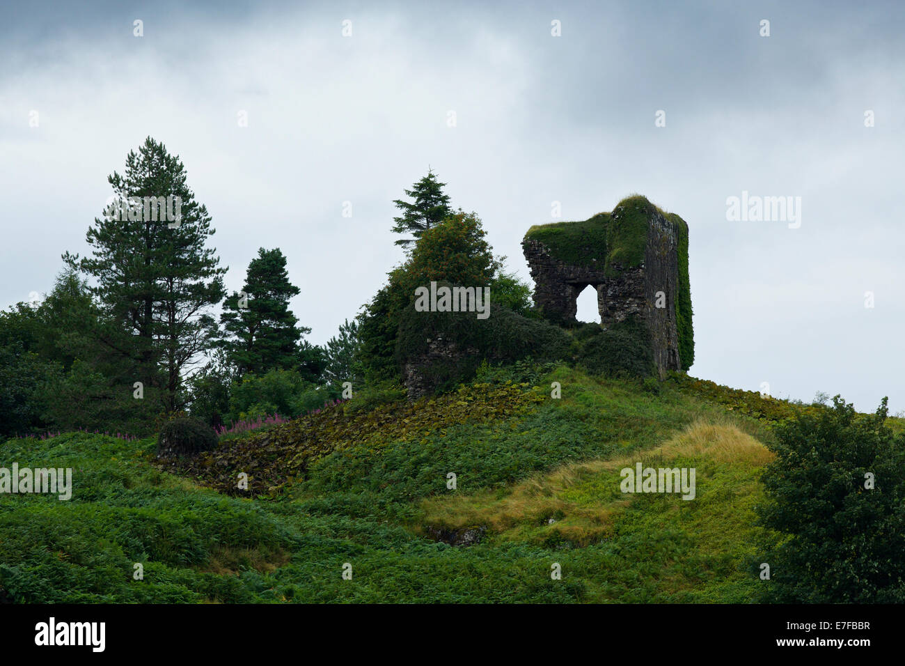 AROS Schloss, auch bekannt als Dounarwyse, ist eine Burgruine 13. Jahrhundert in der Nähe von Salen auf der Isle of Mull. Stockfoto