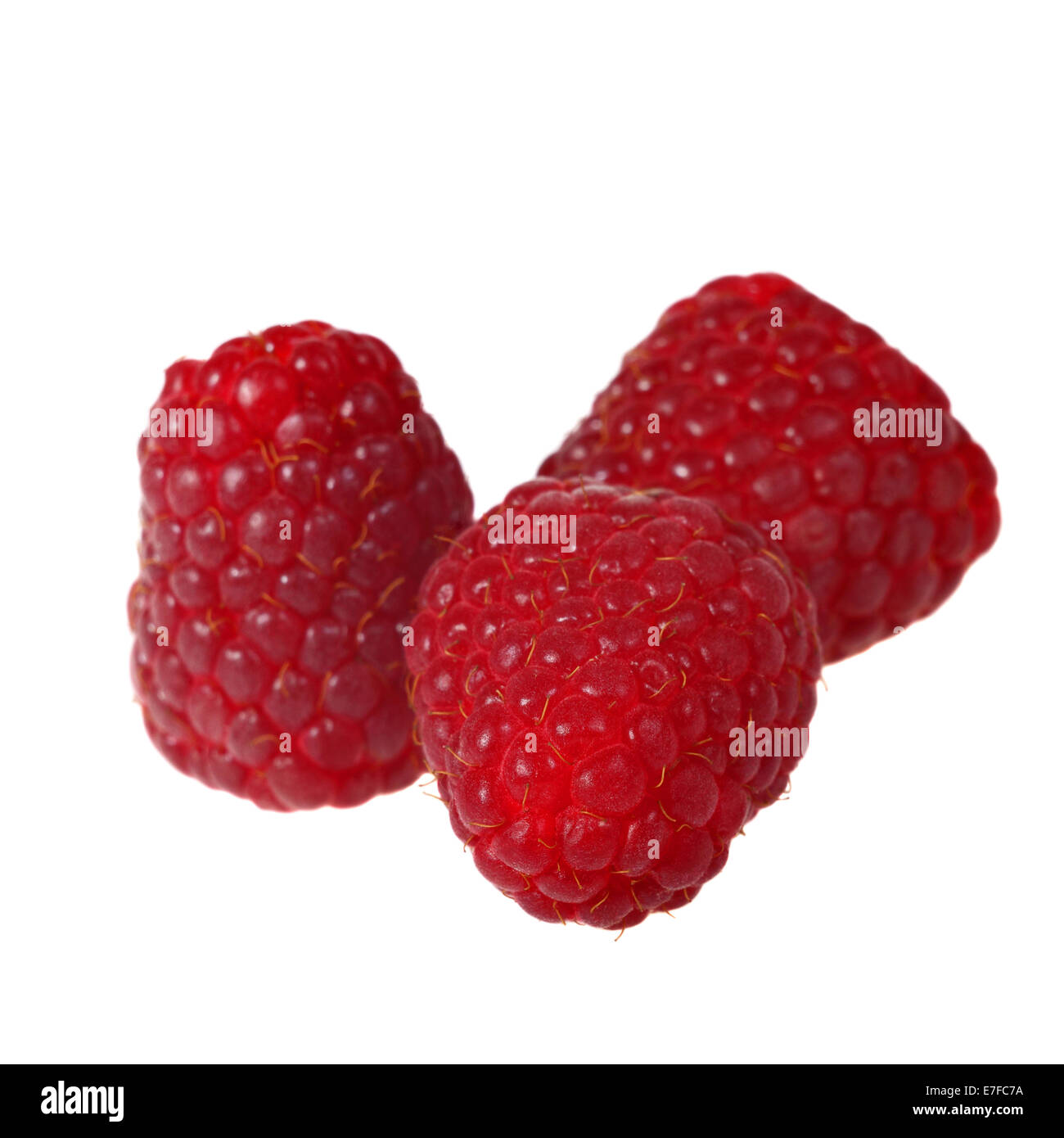 Himbeeren Makro Nahaufnahme isoliert auf weißem Hintergrund Stockfoto