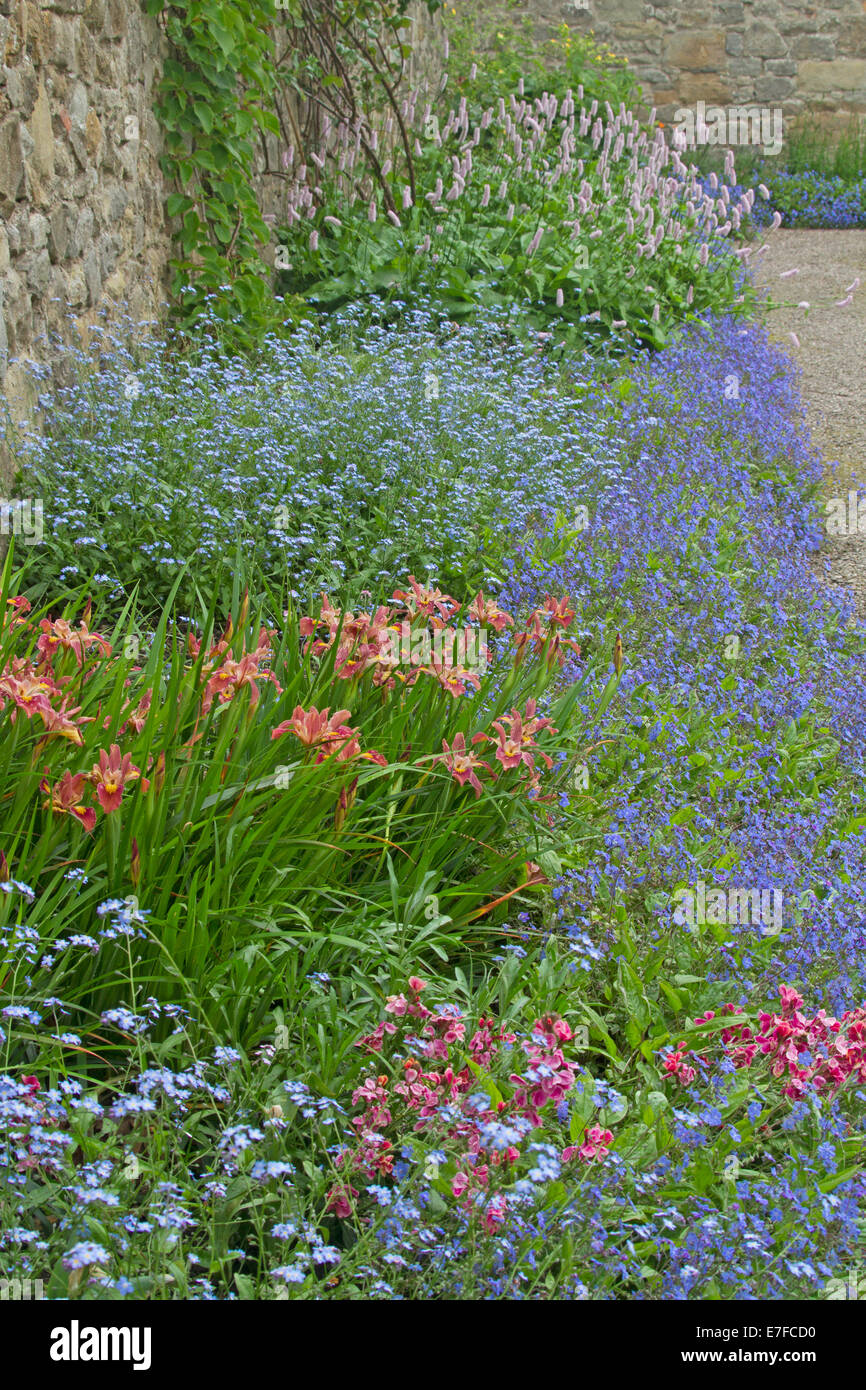 Farbenfrohe Stauden Grenze mit Masse von rot, blau und rosa Blüten in großen Gärten im historischen Chirk Castle, Wales Stockfoto
