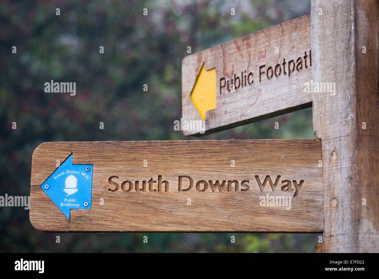 Ein Schild an Butser Hill in der Nähe von Petersfield für den South Downs Way und einen öffentlichen Fußweg Stockfoto