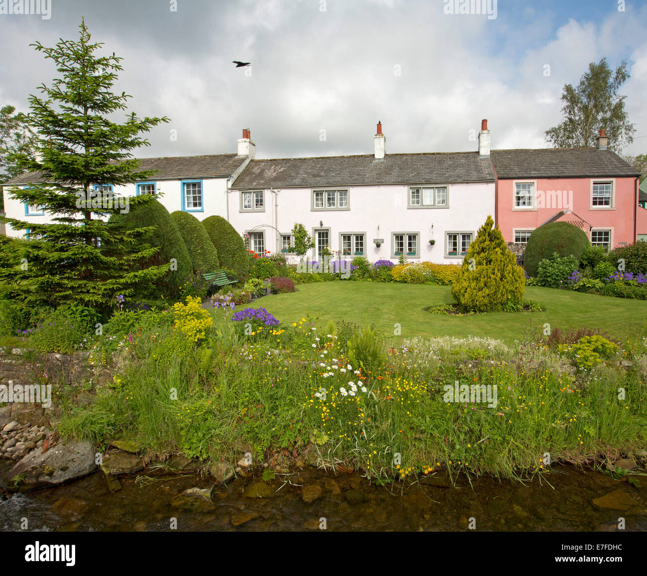 Weiß und Pink lackiert englische Hütten, Gärten mit Massen von bunten Frühlingsblumen, Sträuchern und Bächlein am Dorf von Caldbeck in Cumbria Stockfoto