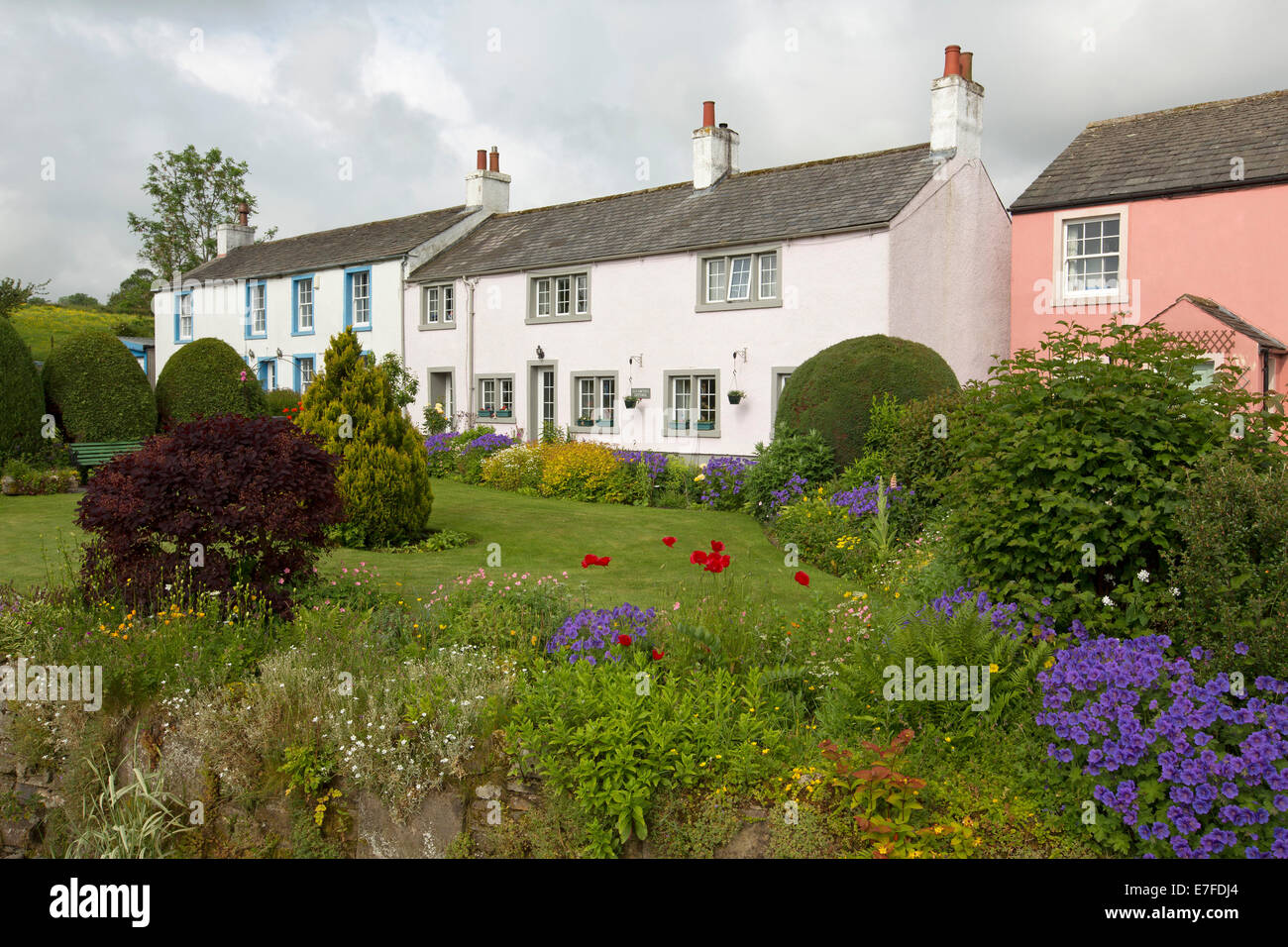 Weiß lackierter englischen Cottages mit gepflegten Gärten mit Rasenflächen und Massen von bunten Frühlingsblumen und Sträucher im Dorf Caldbeck in Cumbria. Stockfoto