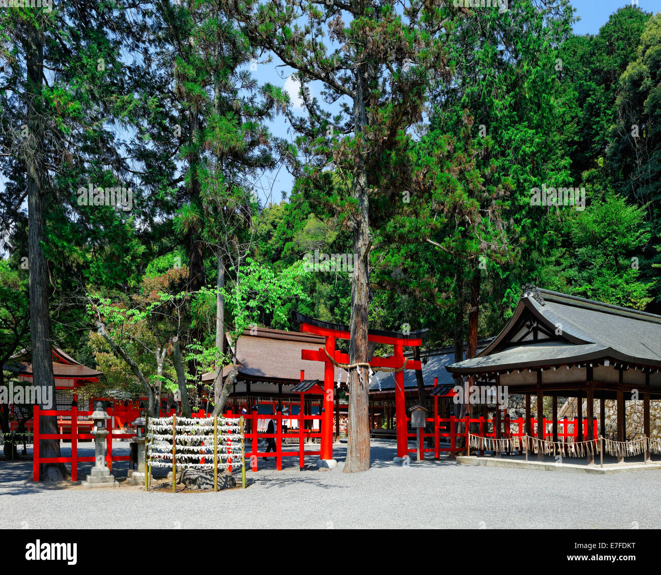 Japan-Tempel am Tag im Wald Stockfoto