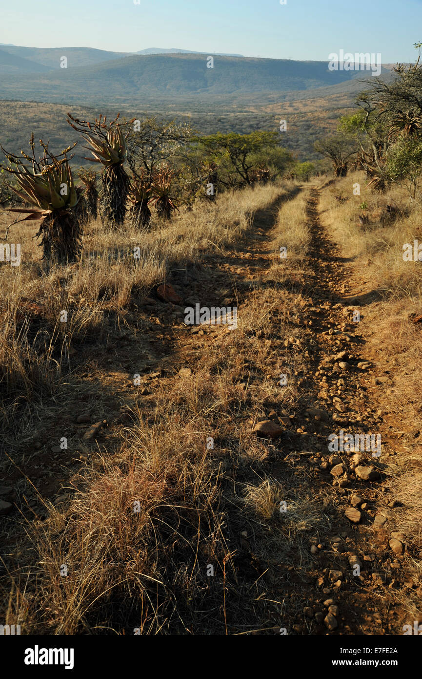 Gluckstad, KwaZulu-Natal, Südafrika, 4x4, robuste zwei Titel weg von der Straße weg in die Landschaft Wildnis, Safari, Landschaft Stockfoto