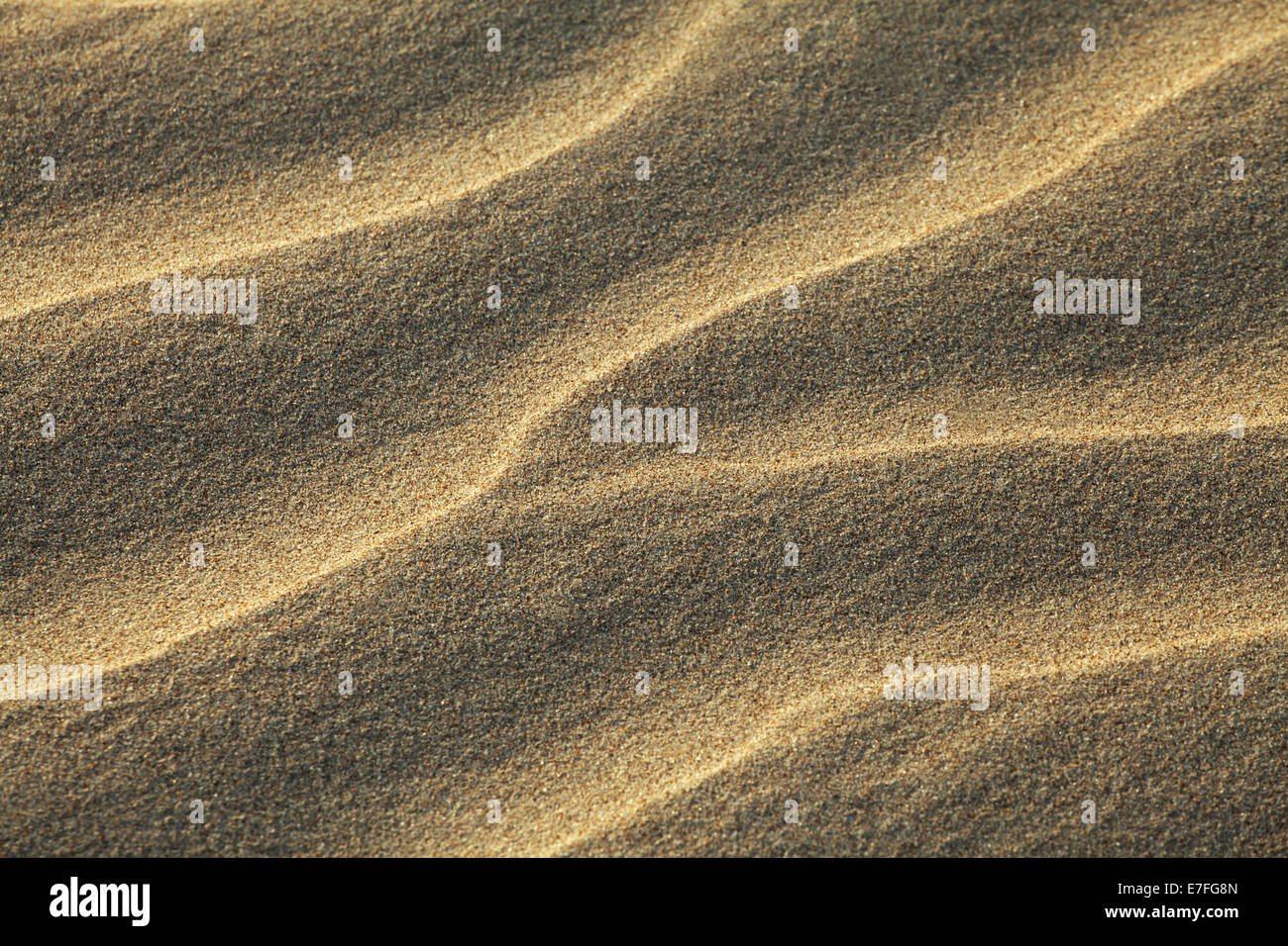 Textur der Sand vom Winde verweht gewellt Stockfoto