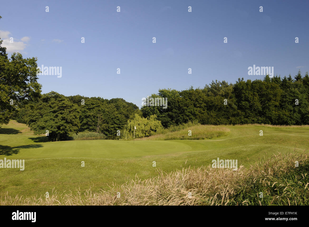 Blick auf das Grün am 10. Loch auf der East Course mit Teich im Hintergrund, East Sussex National East Sussex England Stockfoto