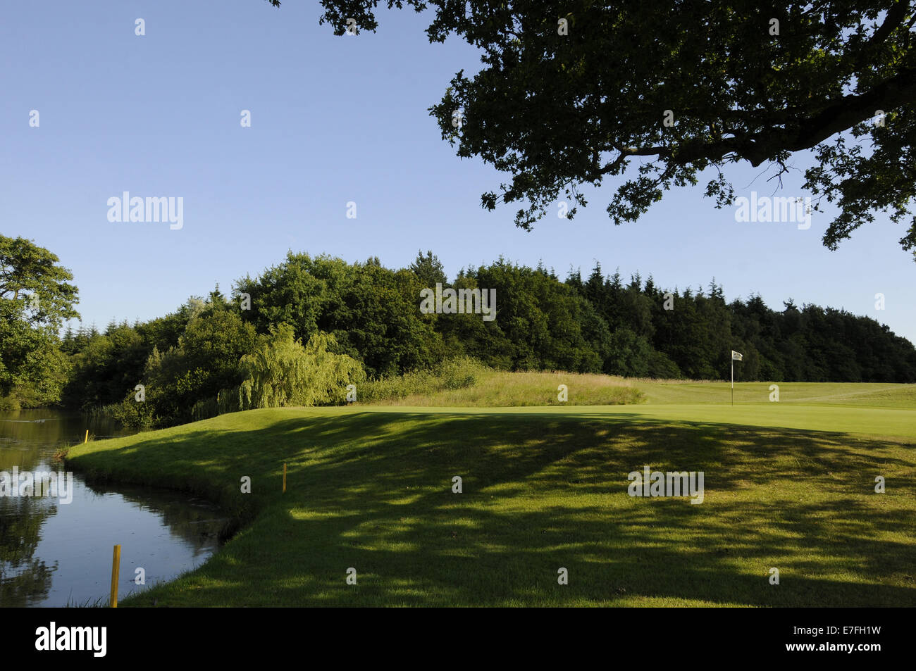 Blick auf das Grün am 10. Loch auf der East Course mit einem Bach vor, East Sussex National East Sussex England Stockfoto