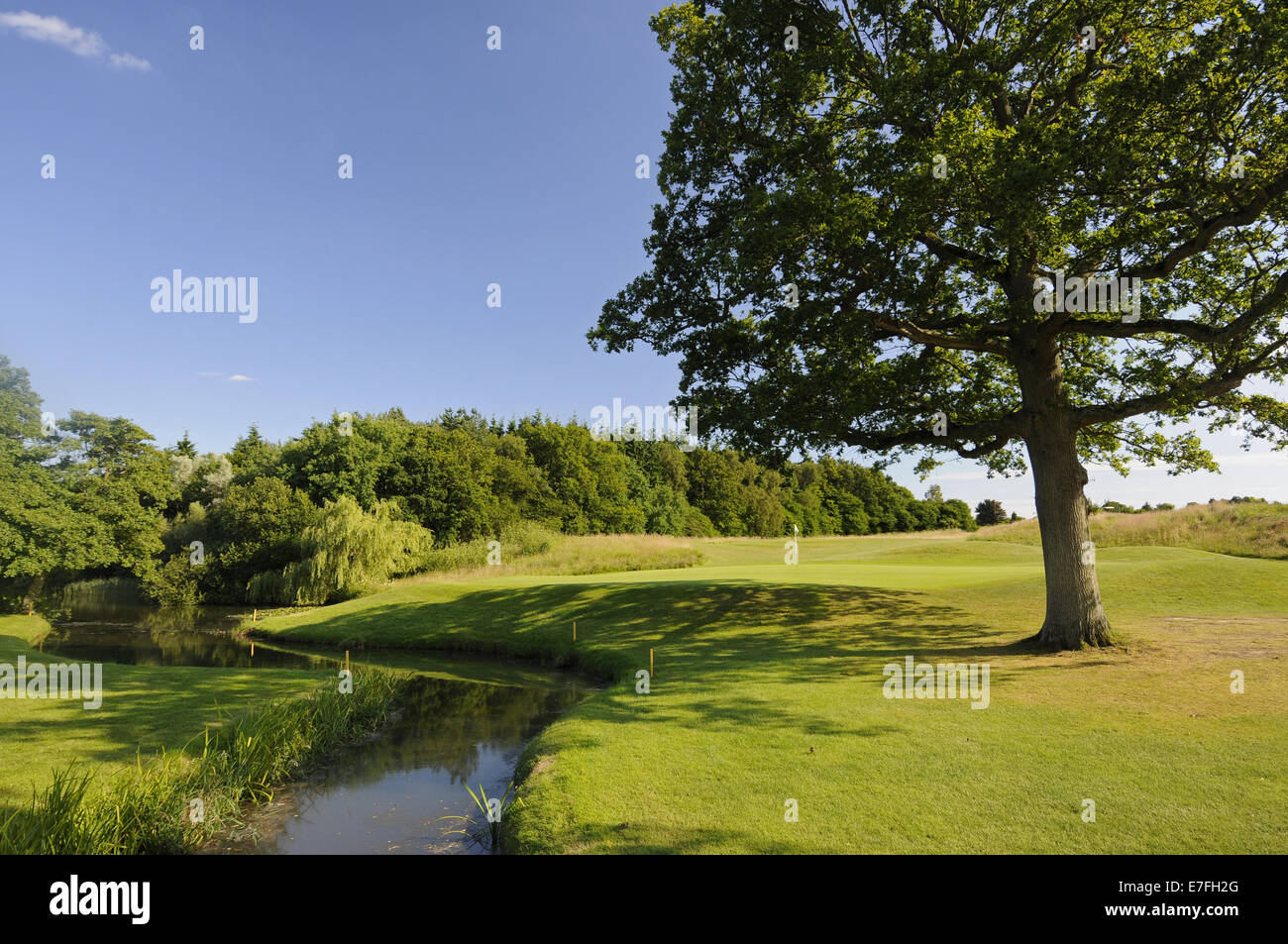 Blick auf das Grün am 10. Loch auf der East Course mit einem Bach vor, East Sussex National East Sussex England Stockfoto