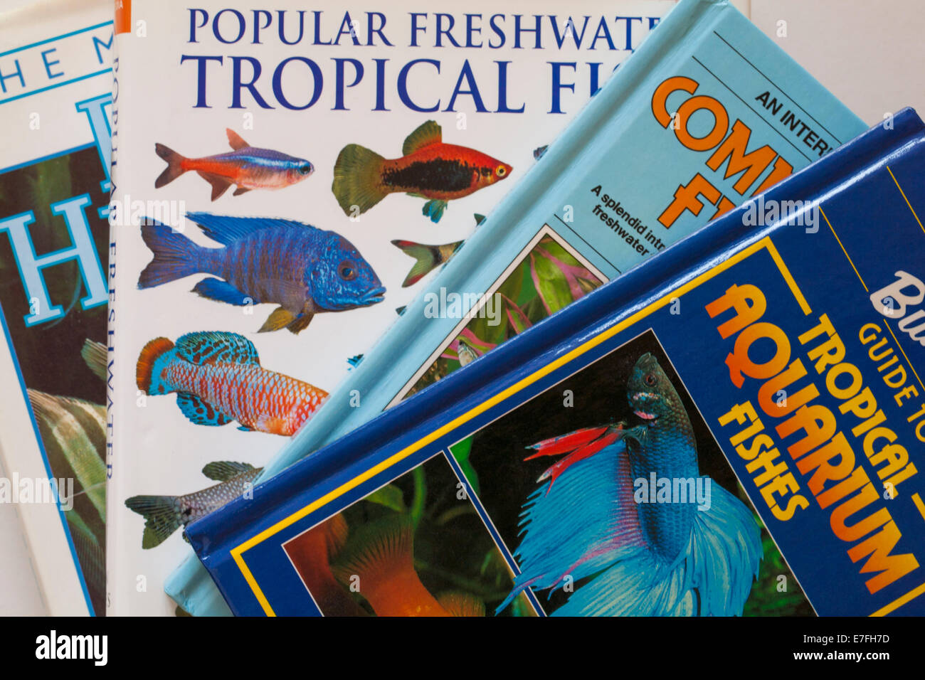 Auswahl an Büchern, tropische Fische Stockfoto