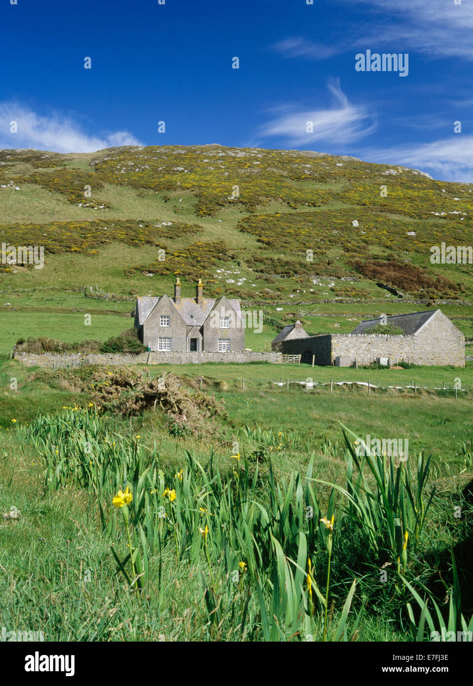 Aussehende E Position Fawr viktorianischen Modell Bauernhof (Bauernhaus, Hof & Nebengebäude), Bardsey Island, North Wales, mit Mynydd Enlli nach hinten ansteigende. Stockfoto