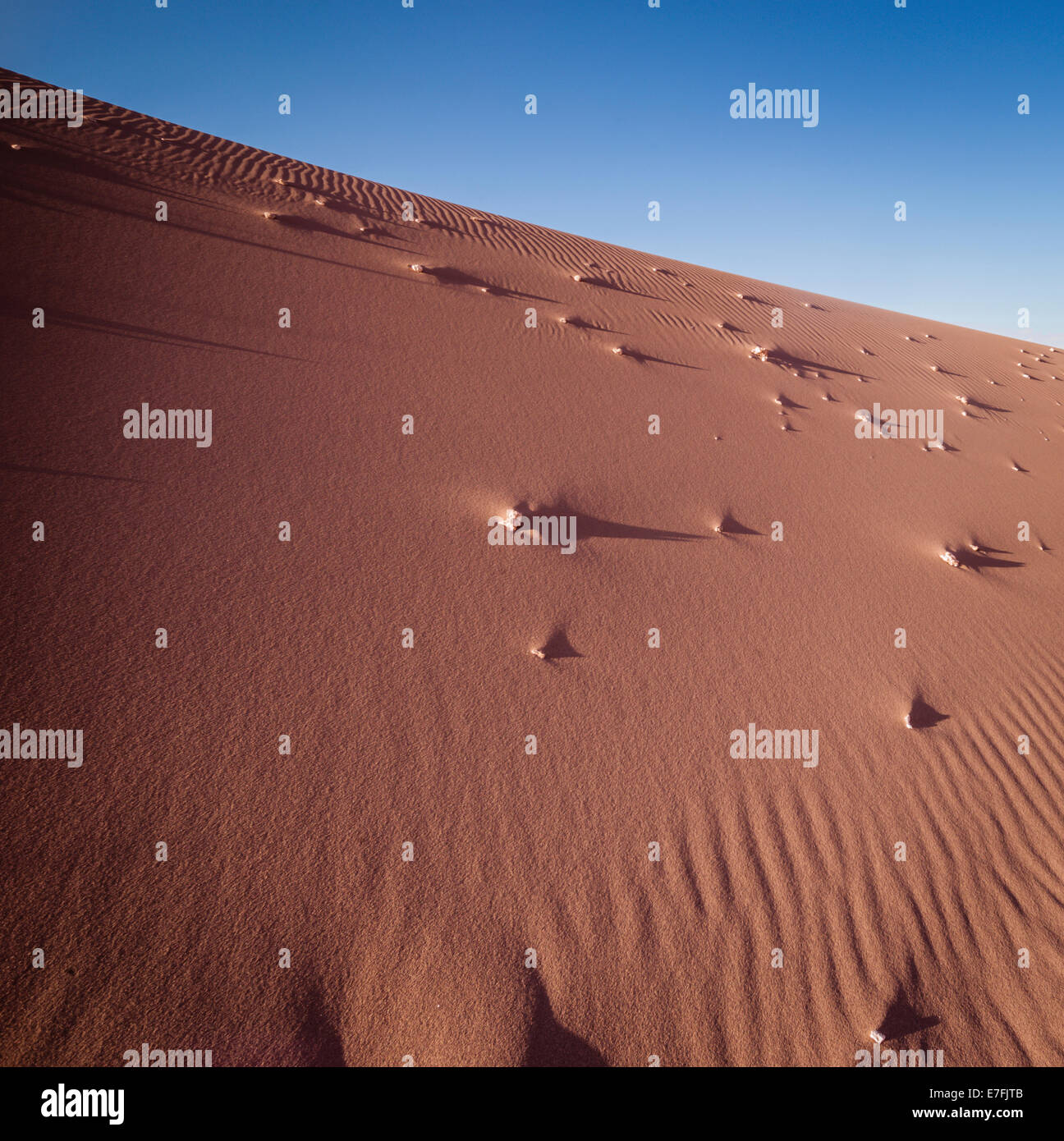 Geformten Sand im Tal des Mondes, Atacama Wüste, Chile. Stockfoto