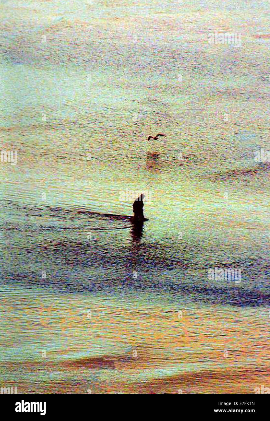 Fischer bei Ebbe in einem Frühsommer Morgen auf der Suche nach Wirbellosen wie ein Seevogel nimmt auch Flug in der Nähe der Küste. Stockfoto