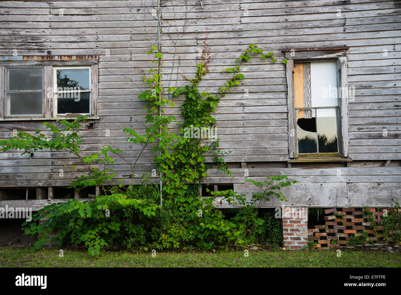 Alte verlassene Holzhaus im ländlichen North Florida. Stockfoto