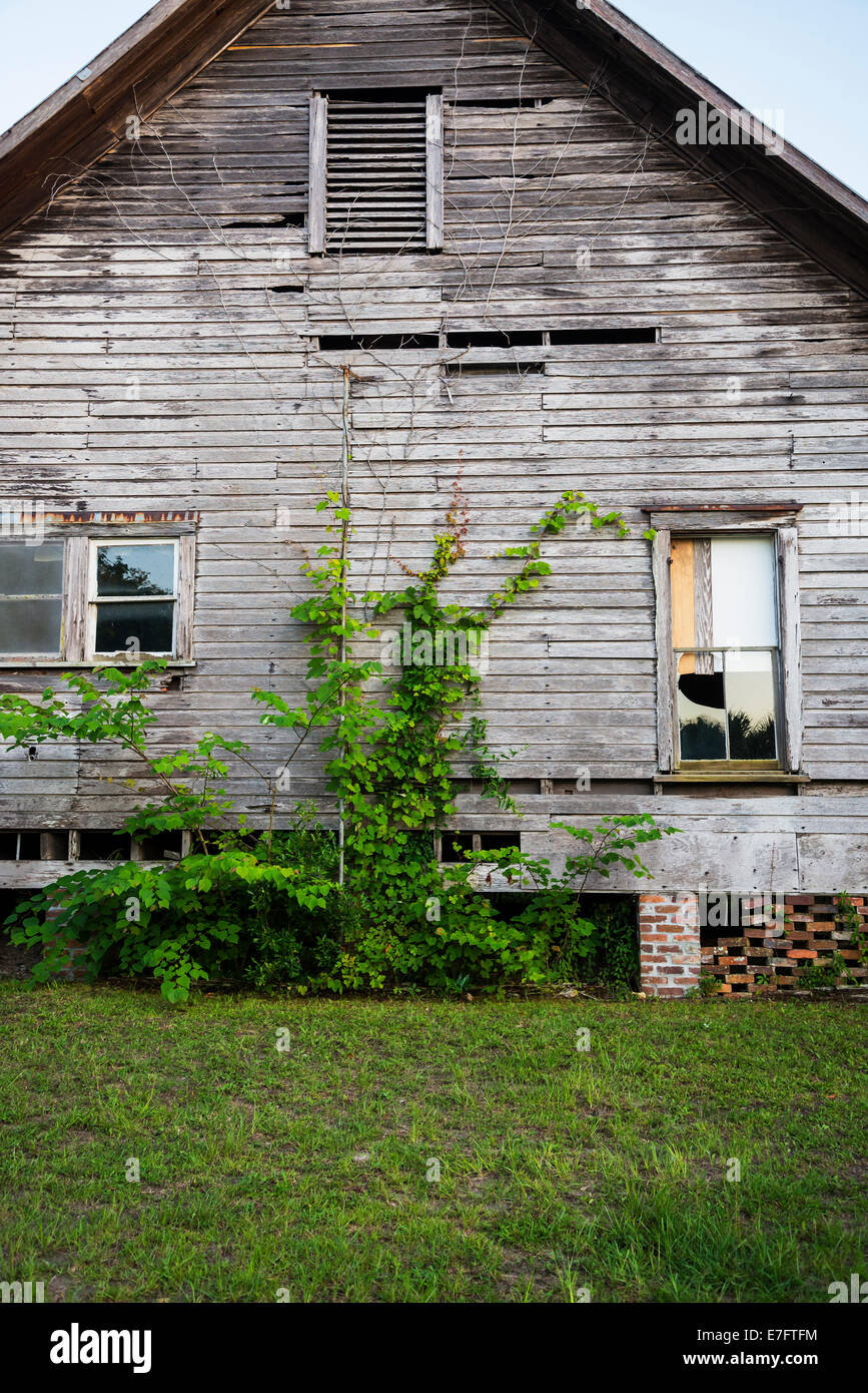 Alte verlassene Holzhaus im ländlichen North Florida. Stockfoto