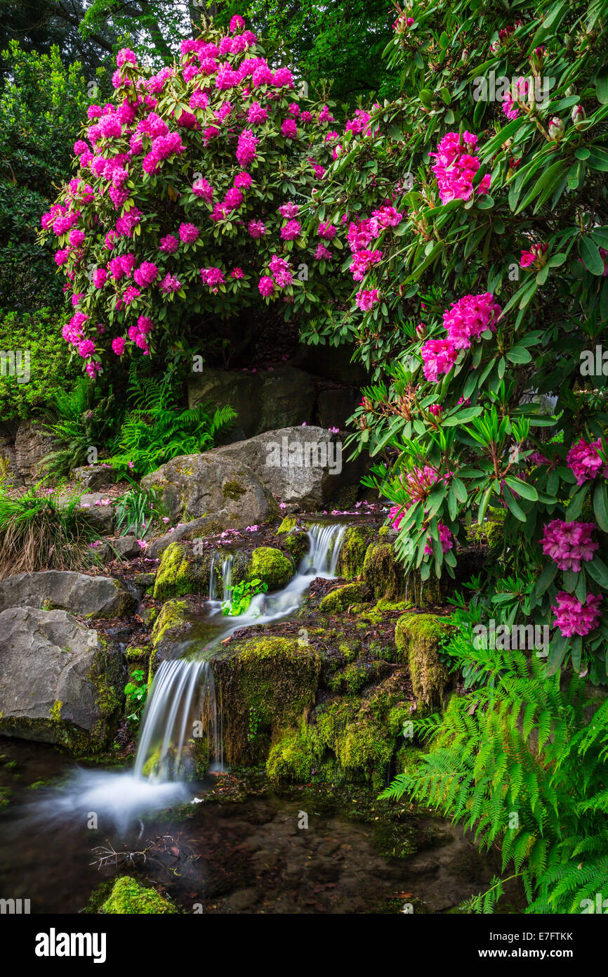 Wasserfall von rhododendron -Fotos und -Bildmaterial in hoher Auflsung   Alamy