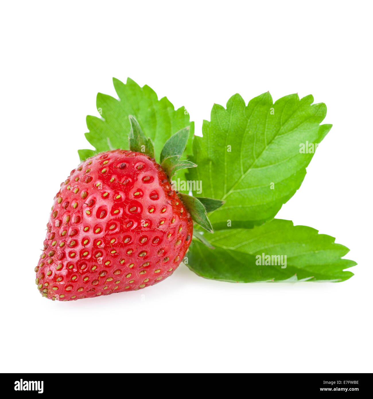 Bio Erdbeer isoliert auf weiss Stockfoto