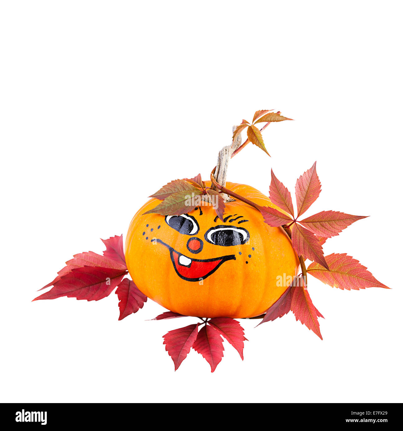 lustige Kürbis mit Herbstlaub Stockfoto