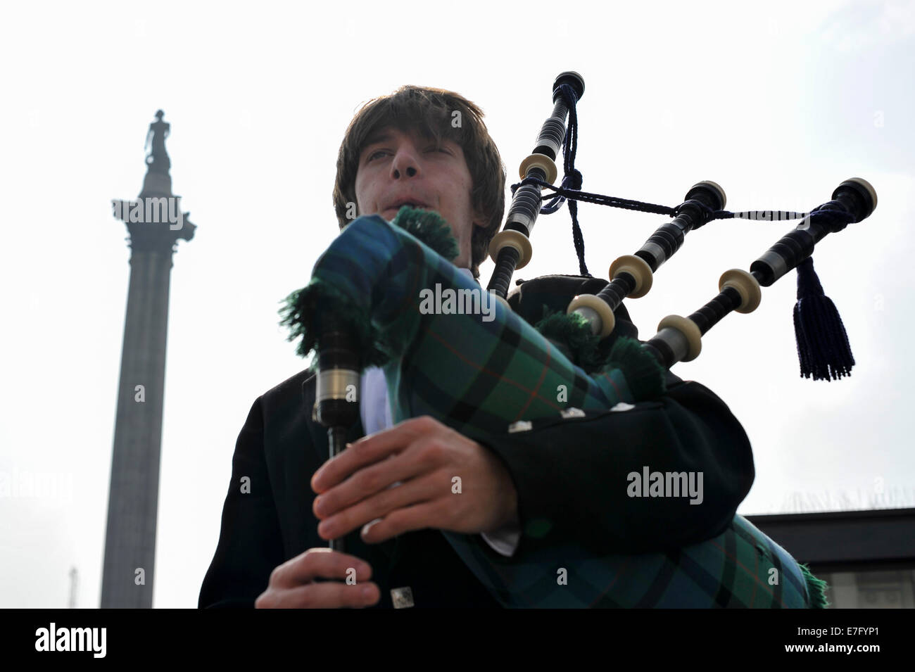 Trafalgar Square, London, UK. 16. Sep, 2014. Dudelsack gespielt auf dem Trafalgar Square vor der schottischen Referendum. Ein Dudelsack-Spieler führt den Touristen vor der National Gallery am Trafalgar Square in London, mit Nelson Säule im Hintergrund. Mit dem schottischen unabhängigen Referendum erwartet nur 2 Tage Weg, das Land der Whitehall Reaktion auf das Ergebnis. Bildnachweis: Lee Thomas/Alamy Live-Nachrichten Stockfoto