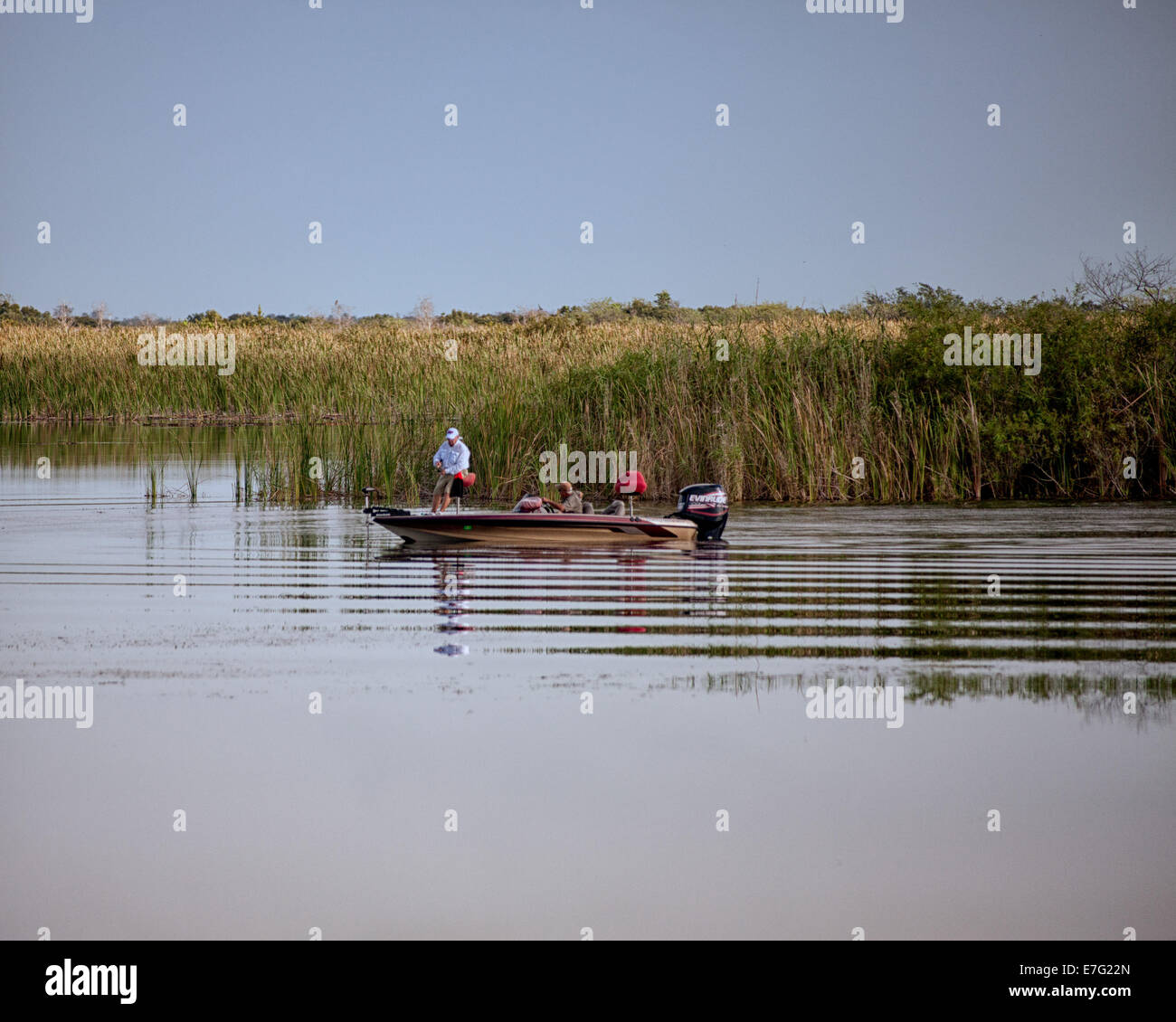 Florida, USA. 28. August 2014. Zwei Fischern, die in einem Ranger 519VX Boot mit einem 200 Evinrude e-Tec Außenborder Motor, in den Gewässern des Arthur R. Marshall Loxahatchee National Wildlife Refuge, Palm Beach County, Florida, eine 147.392-Acre (596 qkm) Naturschutzgebiet und Teil des Everglades National Park. © Arnold Drapkin/ZUMA Draht/Alamy Live-Nachrichten Stockfoto